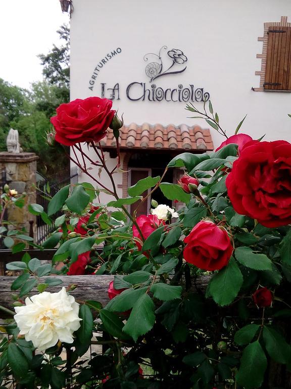 Agriturismo La Chiocciola Poggio Murella Luaran gambar